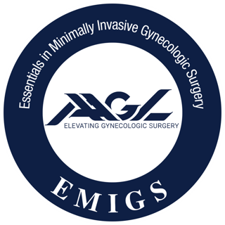 NEW EMIGS LOGO-TEACHABLE